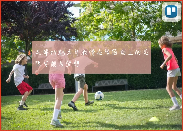 足球的魅力与激情在绿茵场上的无限可能与梦想