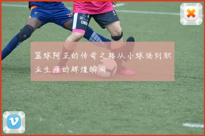 篮球阿正的传奇之路从小球场到职业生涯的辉煌瞬间
